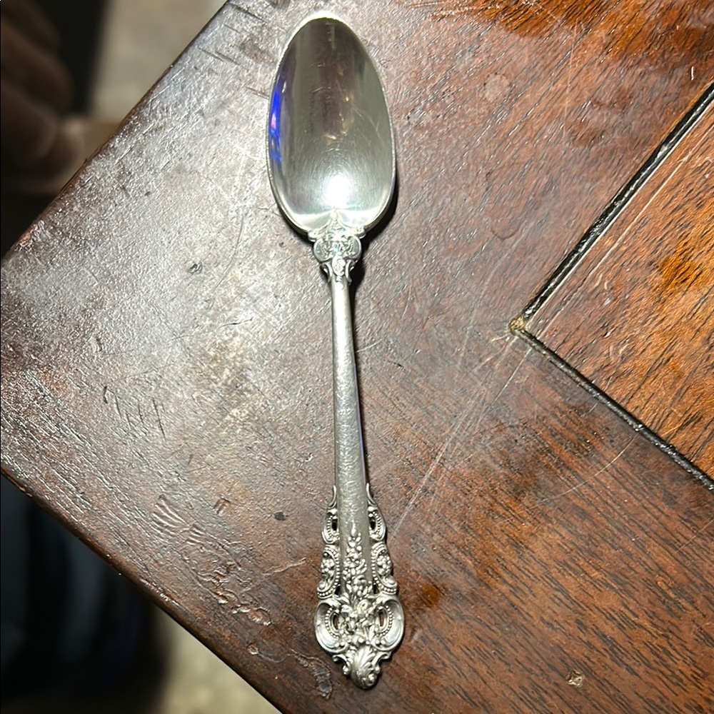 Elegant Silver Spoon